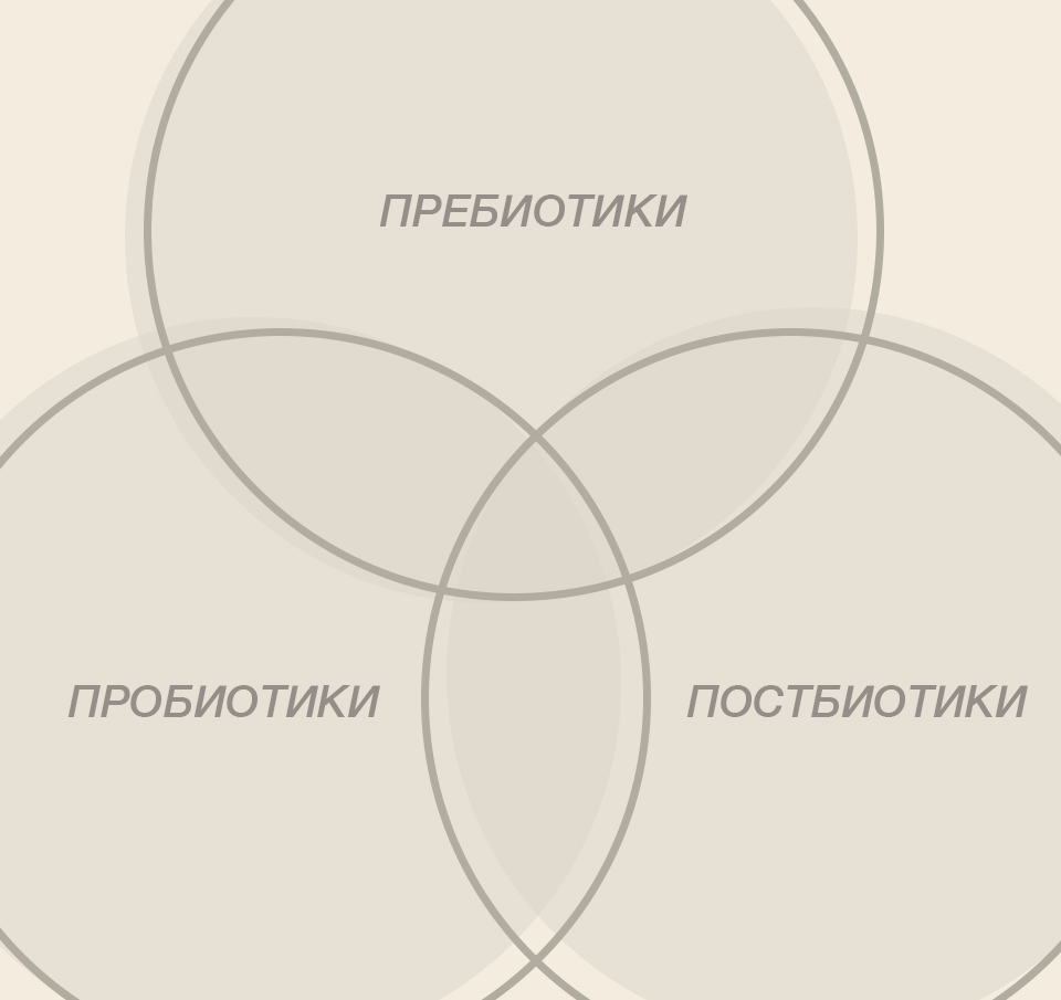 ПРЕБИОТИКИ ПРОБИОТИКИ И ПОСТБИОТИКИ